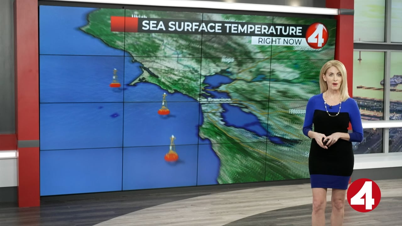 2024 SF Polar Plunge KRON4