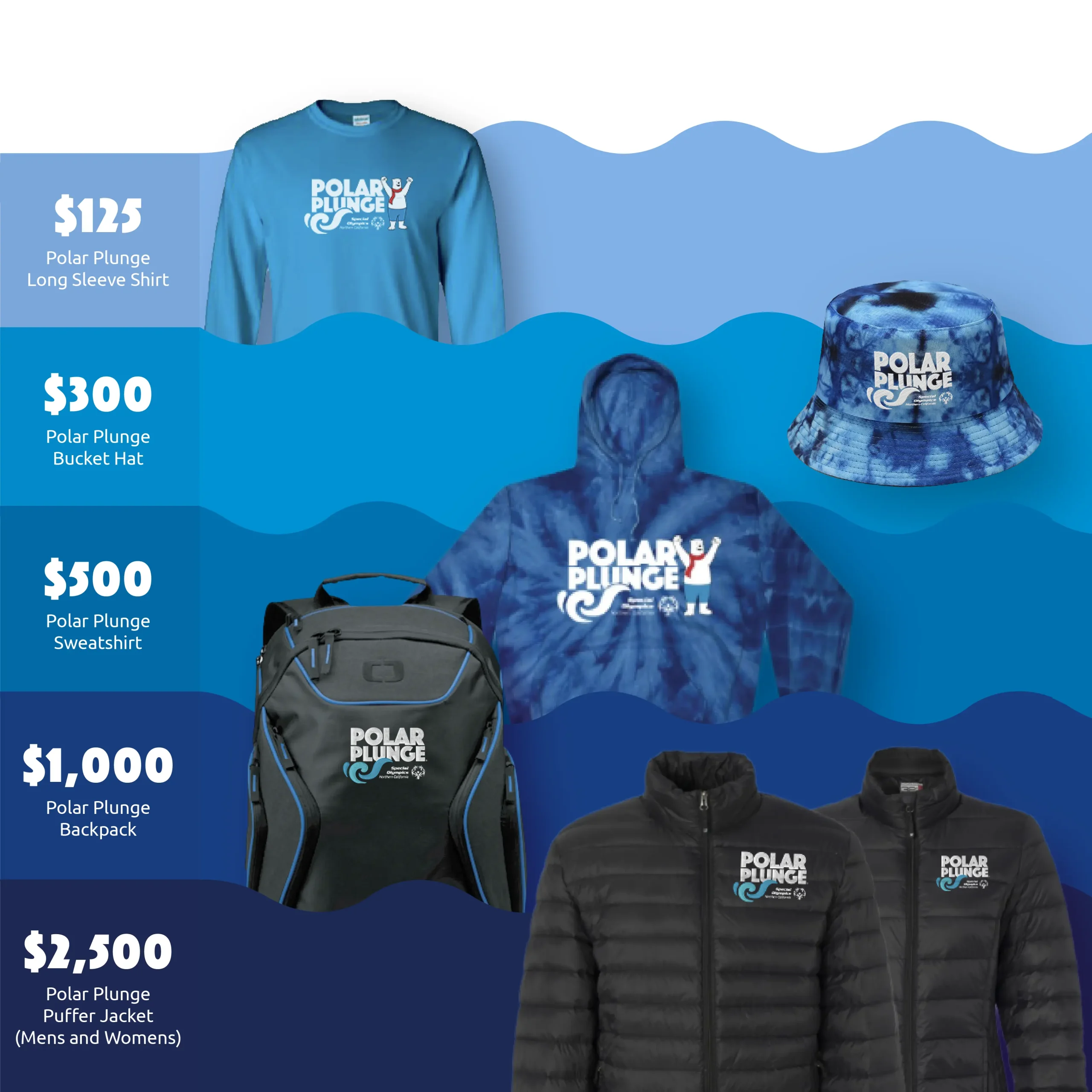 Image of incentive items that can be earned to raise funds for the Polar Plunge events